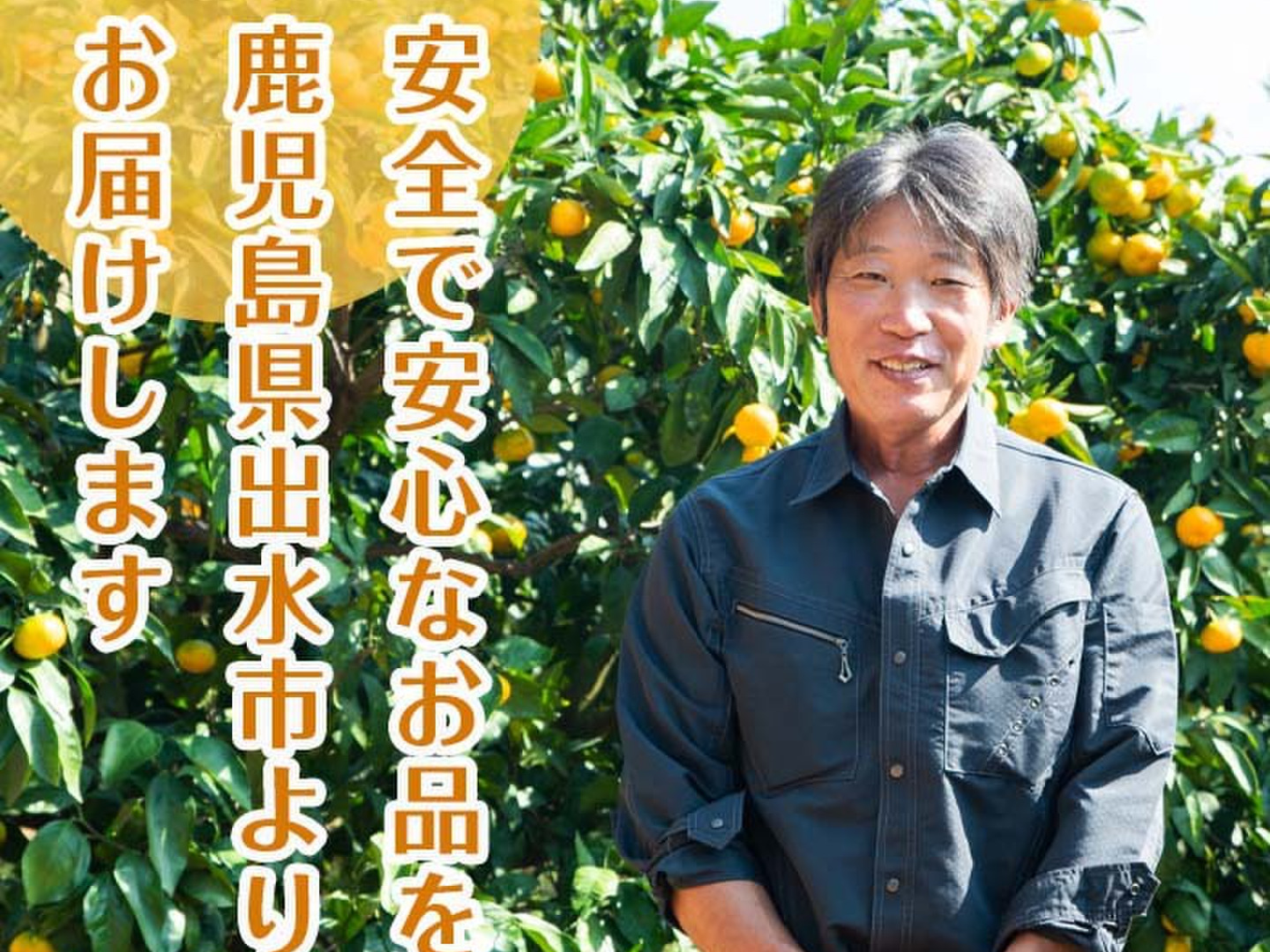 ★新春福袋2024★ 春一番の爽やかな風を感じるフルーティーな訳ありサワーポメロ 果物
