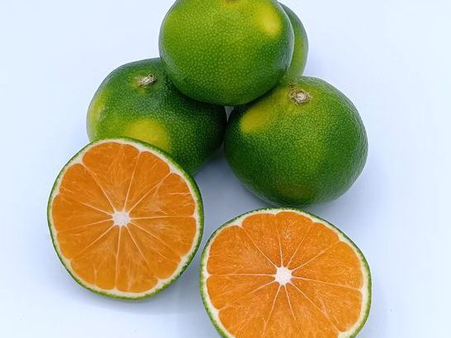 みかんシーズン到来！『極早みかん』【4.5kg】：熊本県産の果物｜食べ