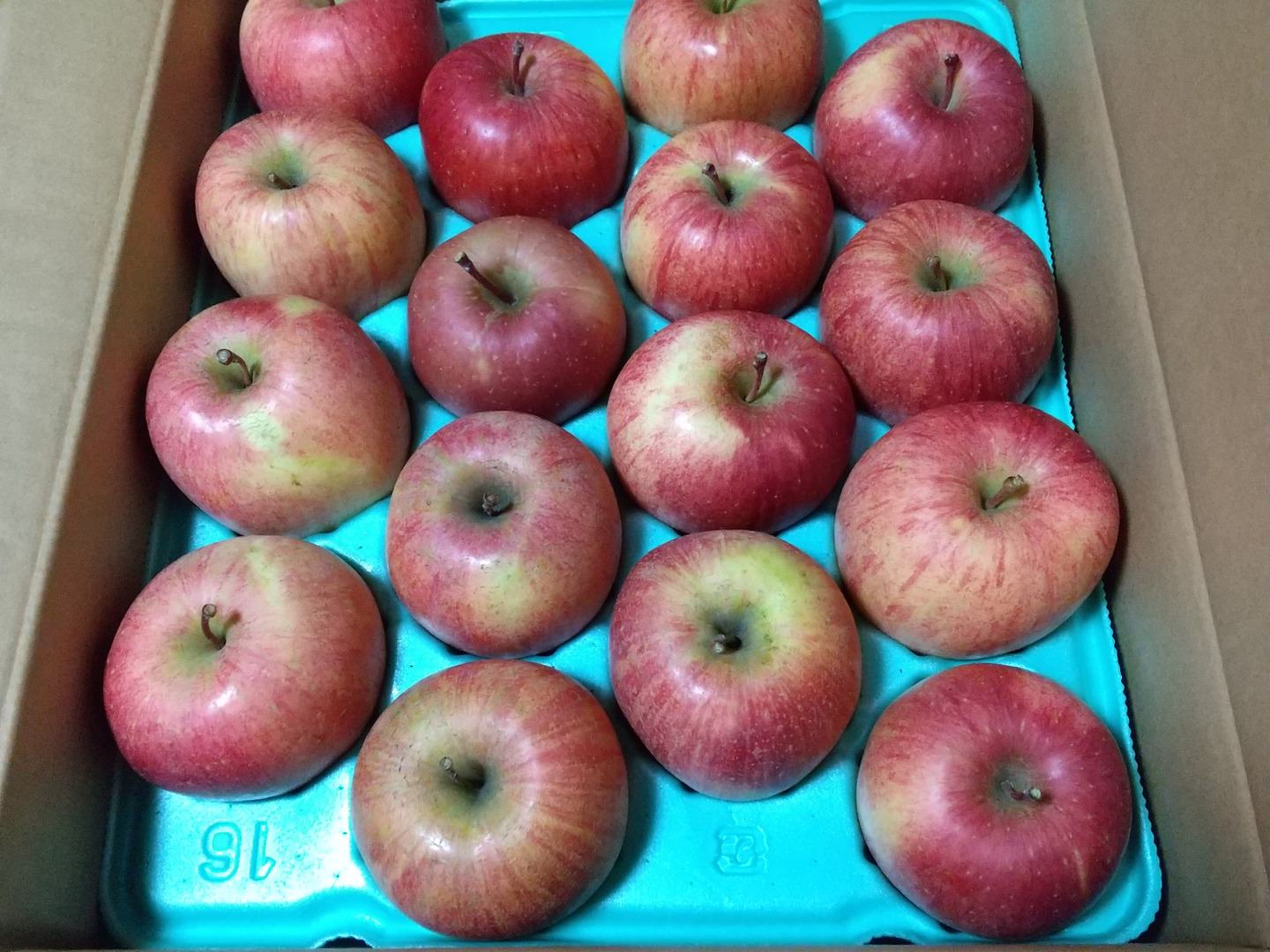 マミ★岩手県産減農薬葉とらず三島系サンフジりんご贈答用5.5kg +5kg マミ様専用☆岩手県産減農薬葉とらず三島系サンフジりんご