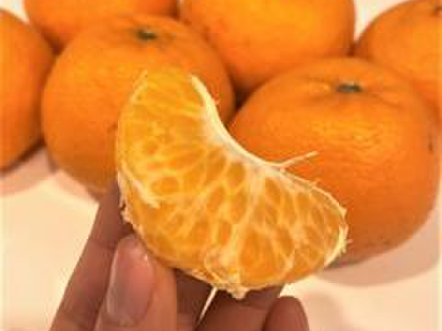【みぃ】ポンカン4Kg+ポンカン9Kg　　2か所送り ポンカンと清見の良いとこどりっ！はるみみかん箱込み約2kg
