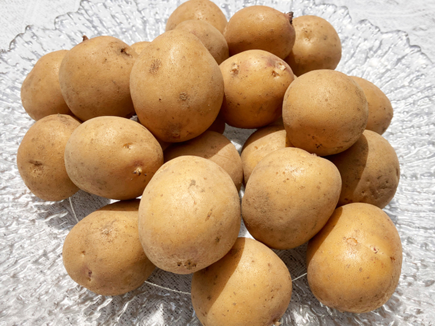 期間限定】今季五代目 濃厚じゃがいも Sサイズ 2kg｜なくなり次第終了