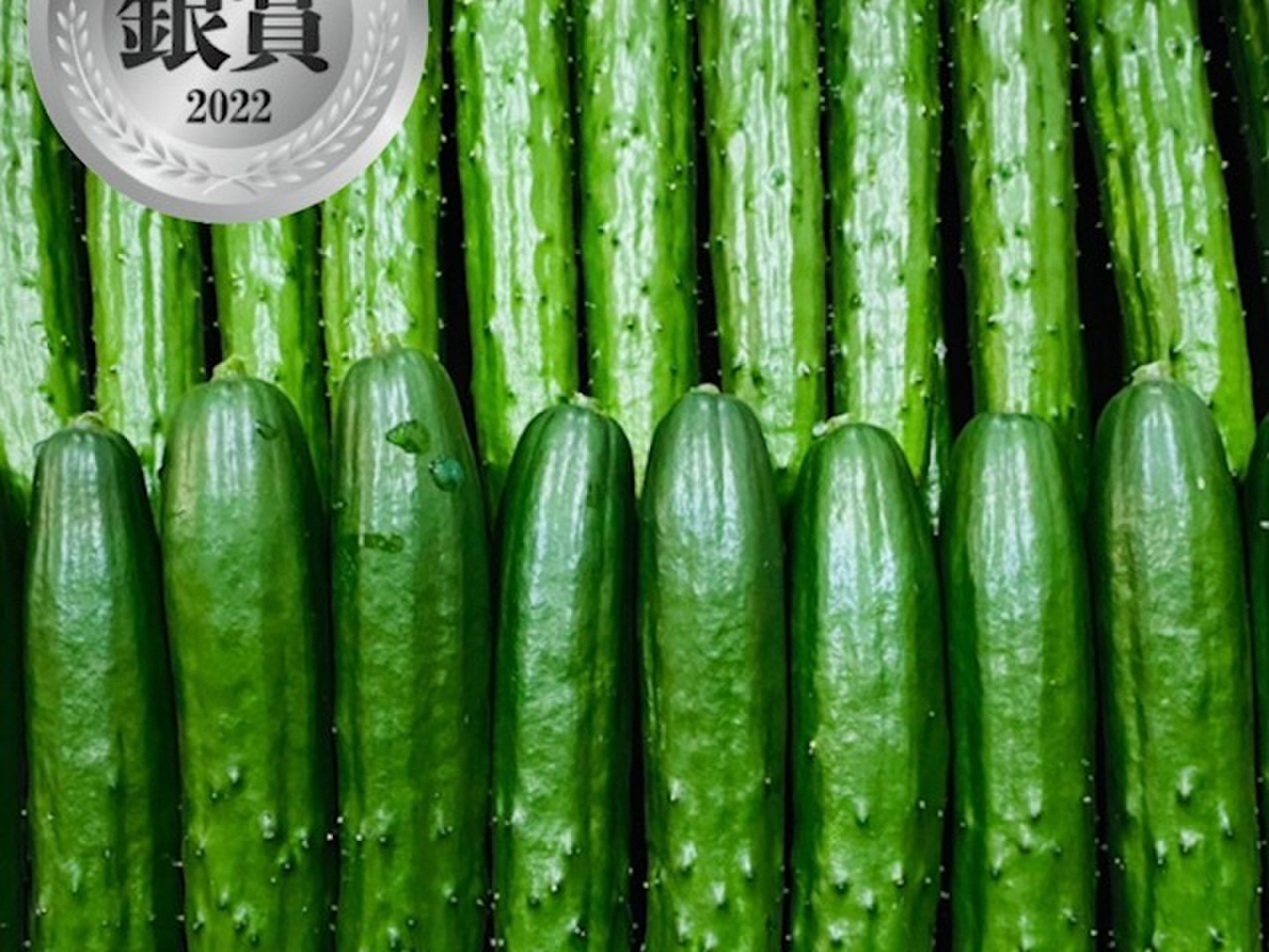 品揃え豊富で 17e94491f66eaccf50ba28e61a891b 野菜