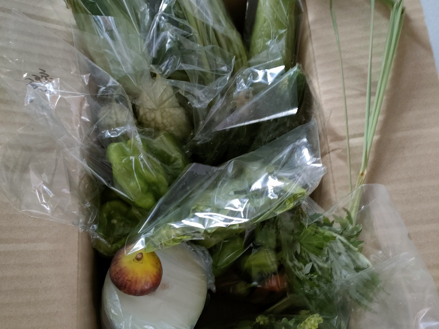 通販サイト一覧 野菜＆洋和ハーブセット 肥料農薬不使用、自家採種、固定種 6-10 野菜