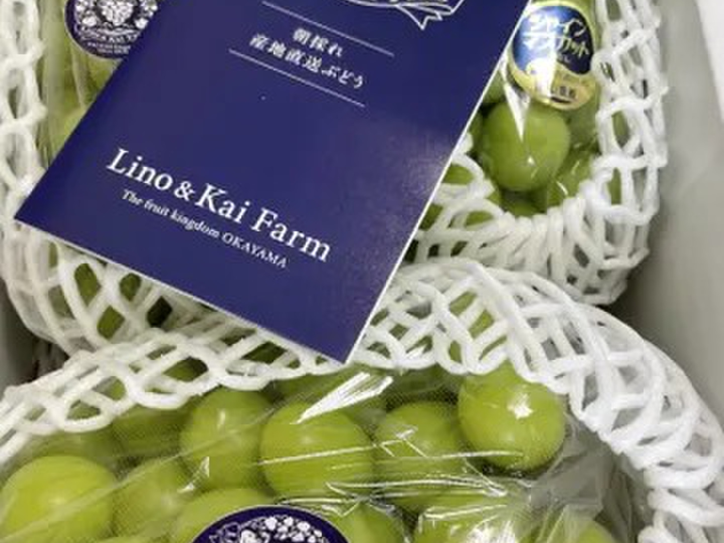 食べチョクアワード 4年連続受賞！】ご家庭用 フルーツ王国