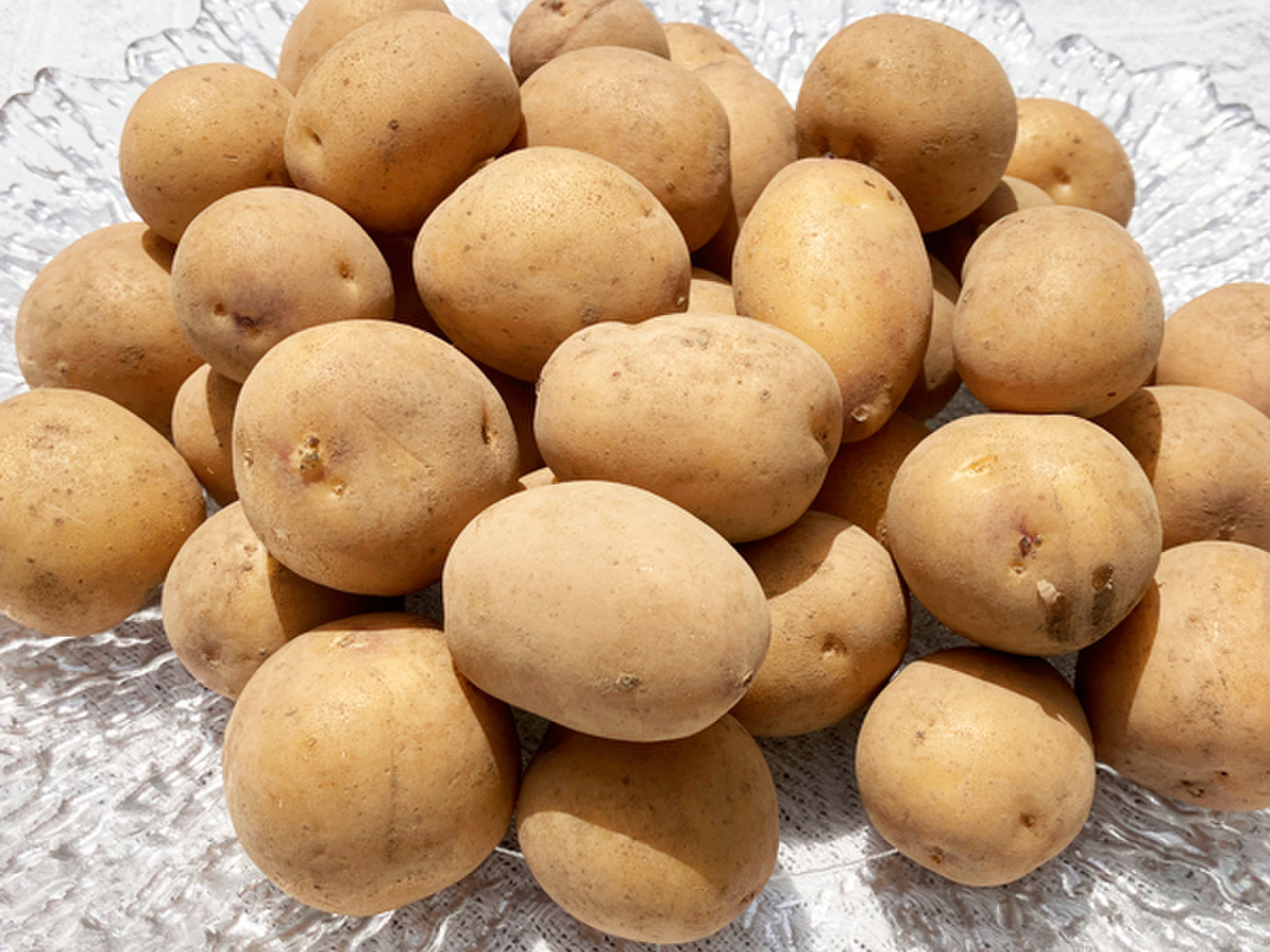 じゃがいも 期間限定】今季五代目 濃厚じゃがいも 2Sサイズ 1kg｜残り1点