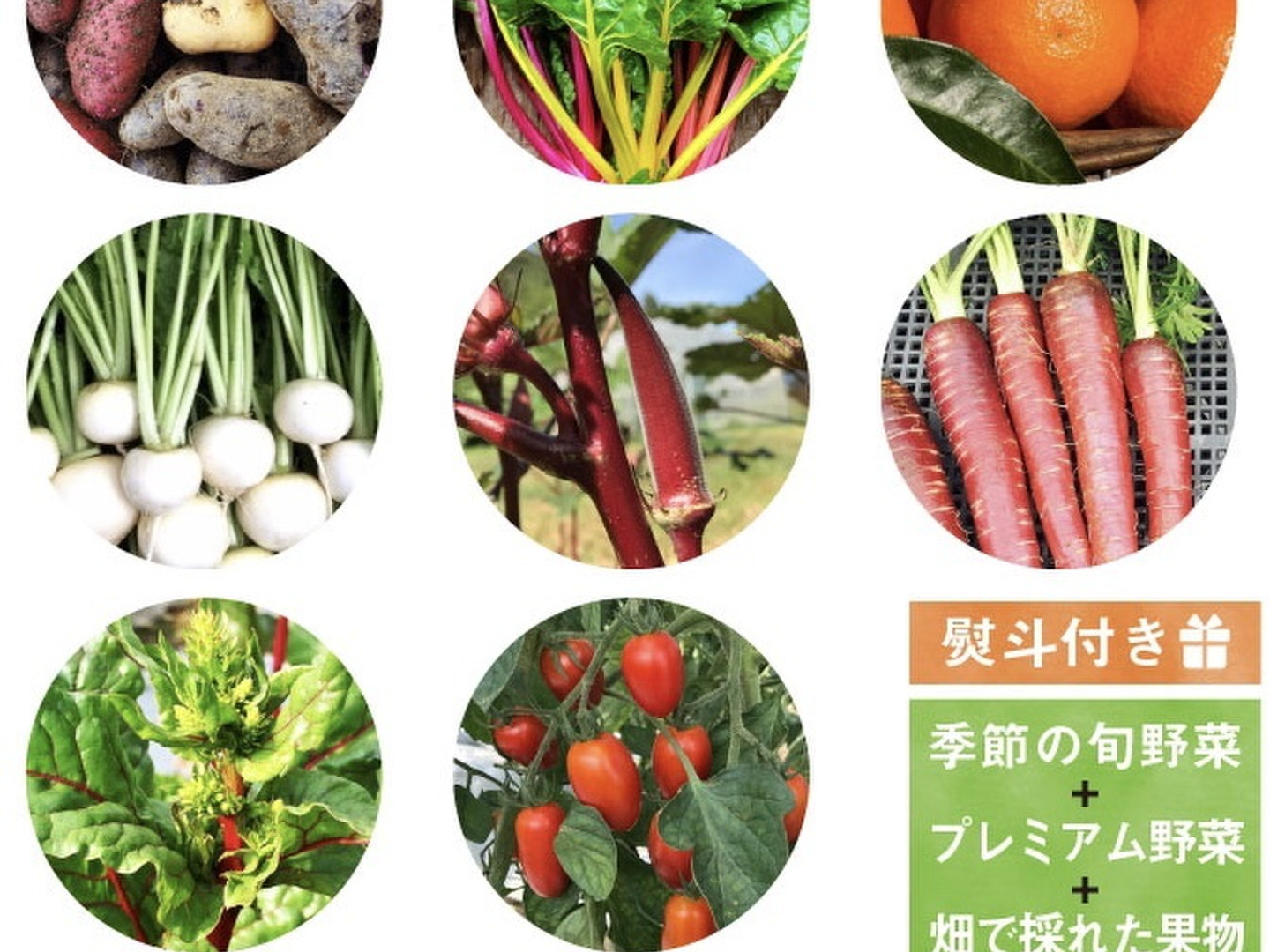 Amazon.co.jp: フルーツセット 果物セット 野菜ソムリエ監修