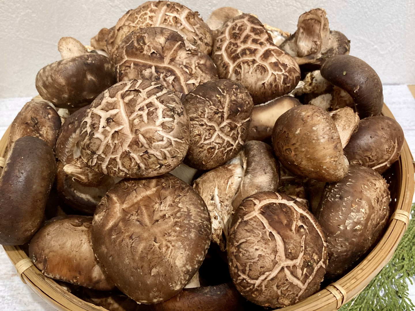 原木栽培 生しいたけ 約3kg 原木椎茸:大分県産のシイタケ|食べ 原木栽培 生しいたけ 約3kg 原木椎茸:大分県産のシイタケ|食べ
