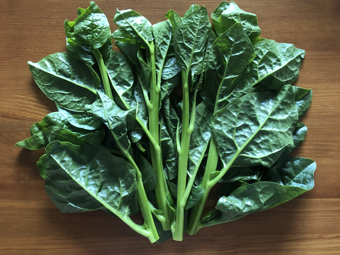【10％OFF】 270d8003cb942e96496deb9f6e0362 野菜