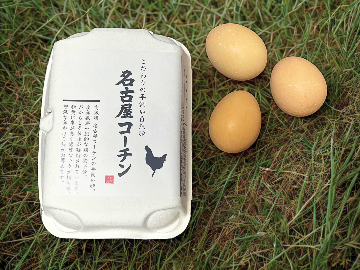 🐔平飼い卵【名古屋コーチン】（12個入り）🐔濃厚でコクがある