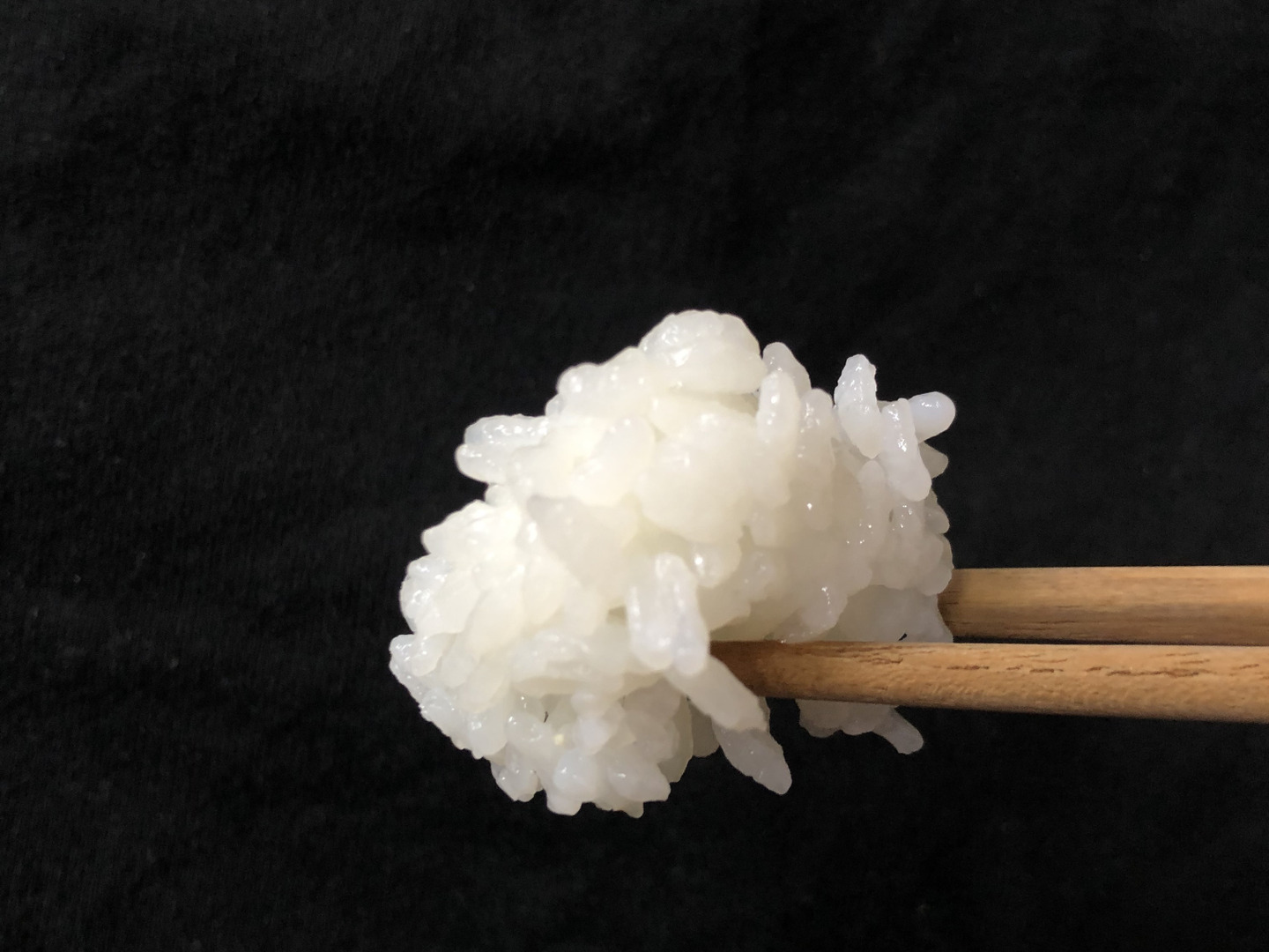 コシヒカリ 栽培期間中農薬不使用・無肥料 】令和5年産『白米