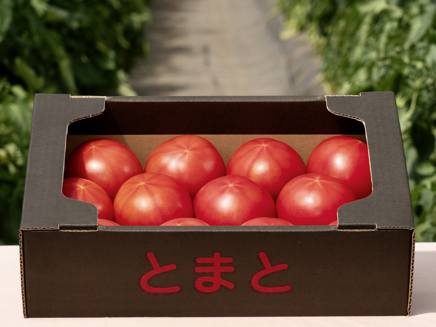 日本最級 北海道産】🍅樹上熟3段採り🍅桃太郎トマト4kg（2kg箱× 2 野菜