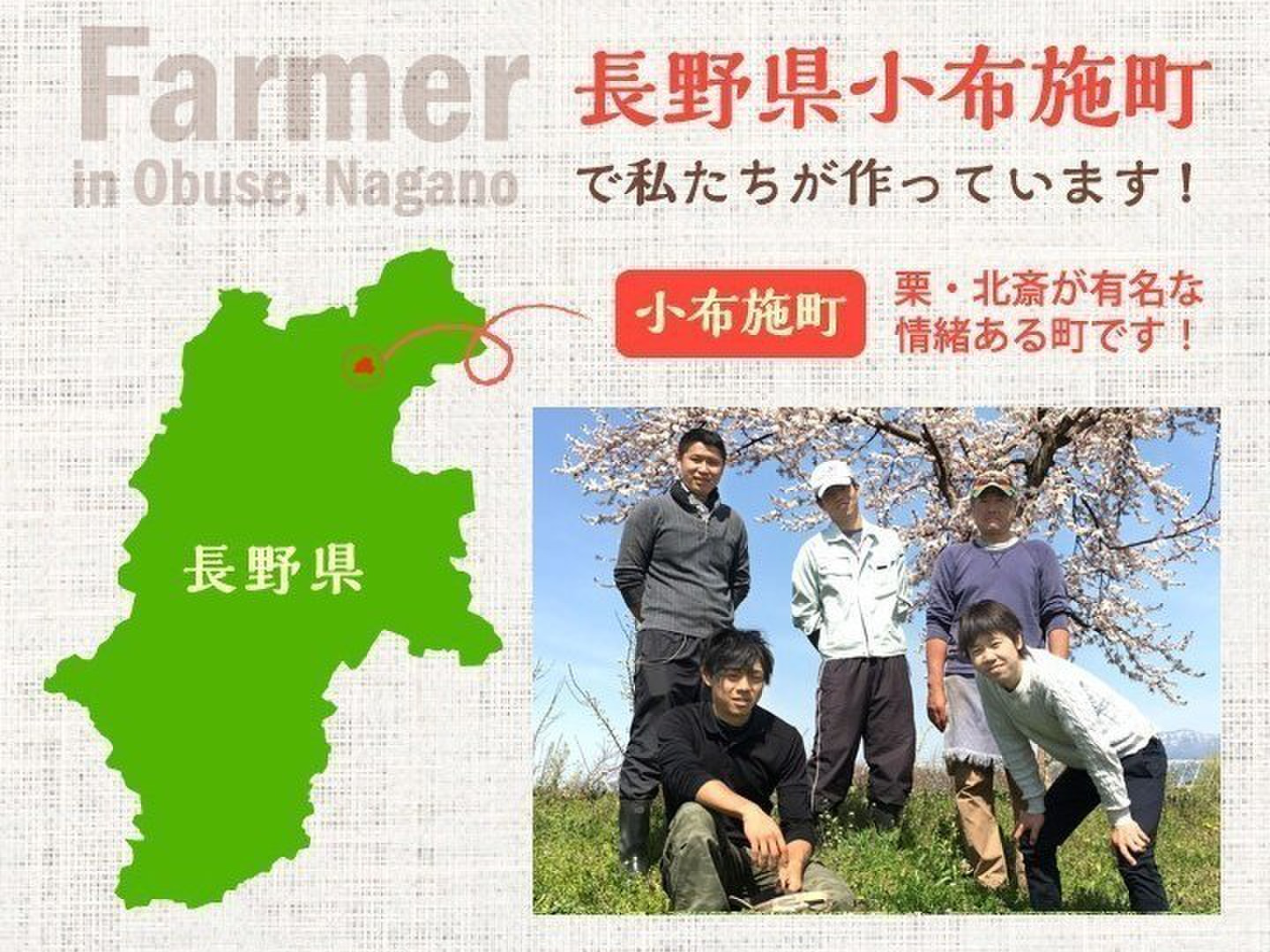 えぐまシャイン3キロ 特選シャインマスカット3キロ 約3房〜4房：長野県産のシャイン