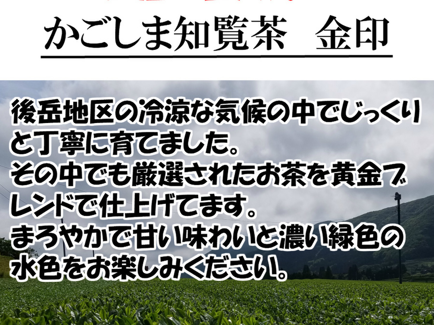 Amazon | 【ゆたかみどり】 かごしま知覧茶 1袋100g入り 村岡