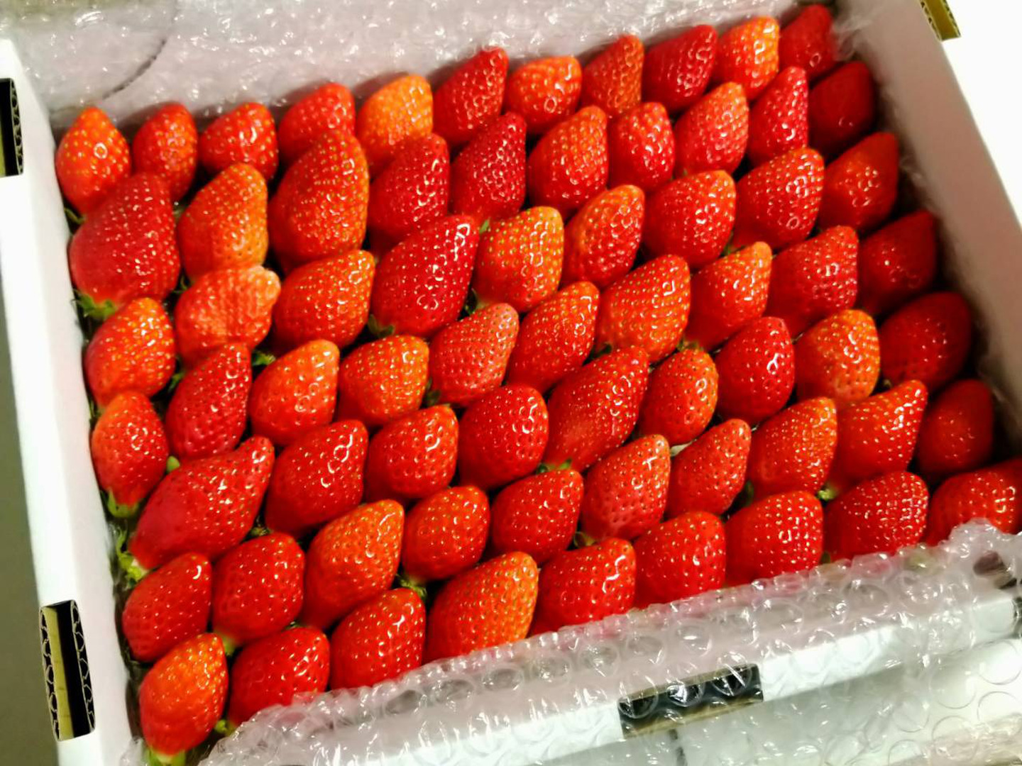 トクトク🍓いちごの宝石箱 朝摘み完熟❤️酵素栽培のこだわりいちご (３〜４月発送) 【いちご 食べ比べ】：栃木県産のとちおとめ｜食べチョク｜産地直送(産直)お取り寄せ通販 - 農家・漁師から旬の食材を直送