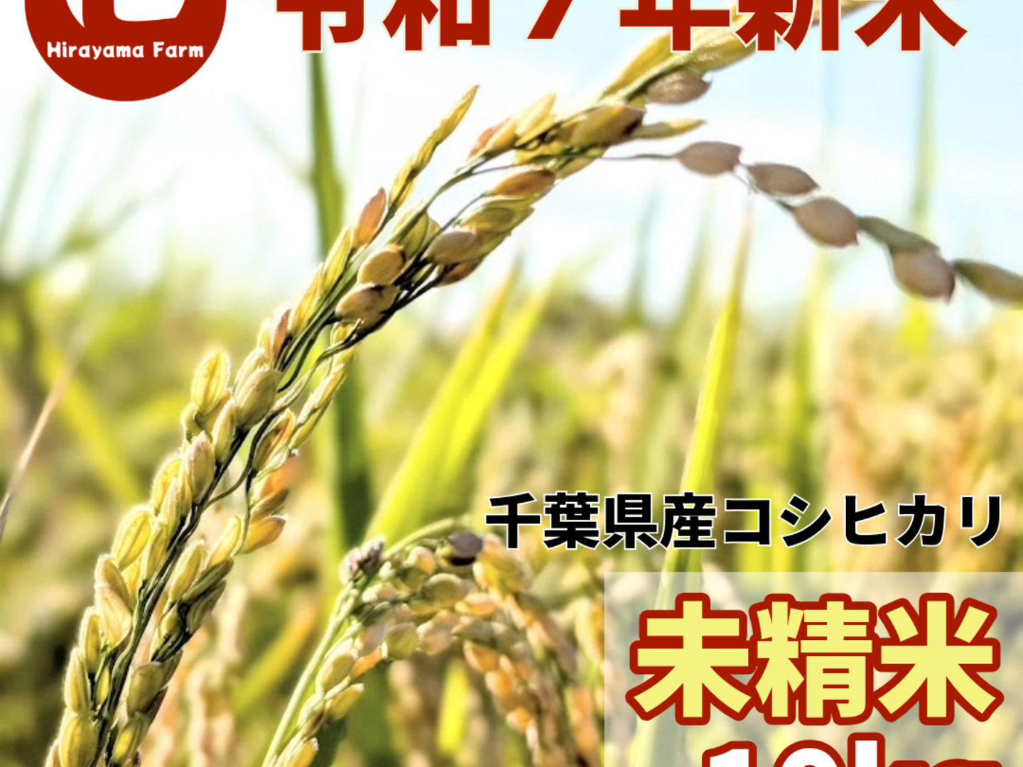 未精米】令和7年新米ヒラヤマファームの米（10kg）：千葉県産の