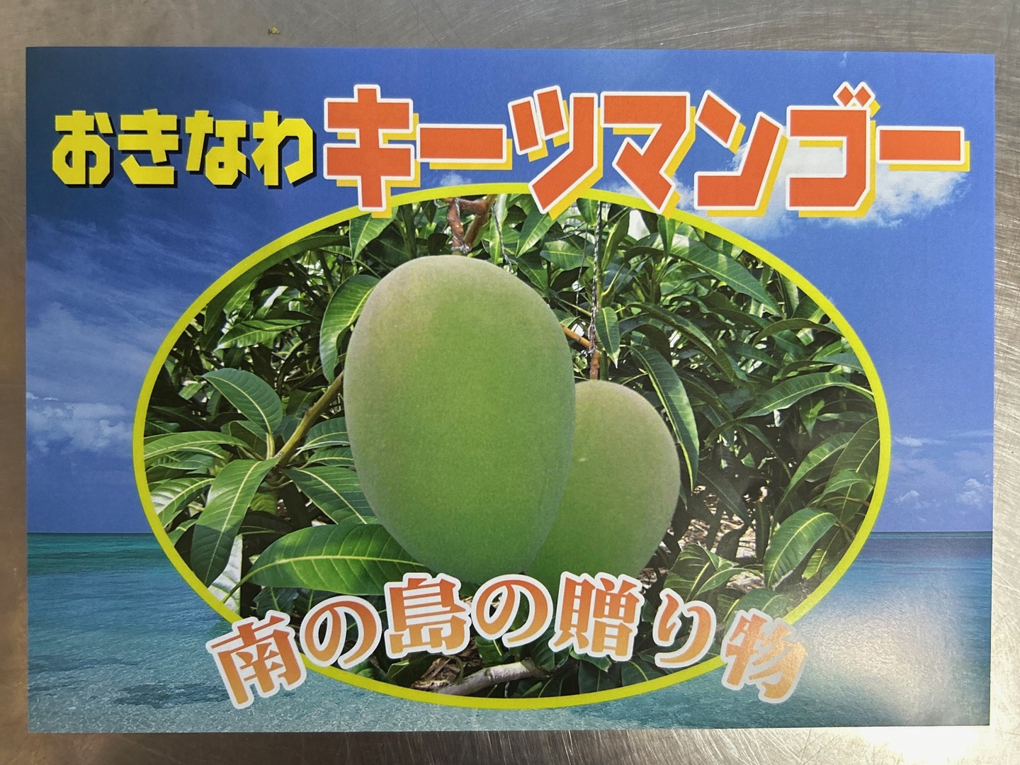ファッション 贈答用】沖縄県産完熟キーツマンゴー 1.5kg（大玉1玉）：沖縄県 フルーツ