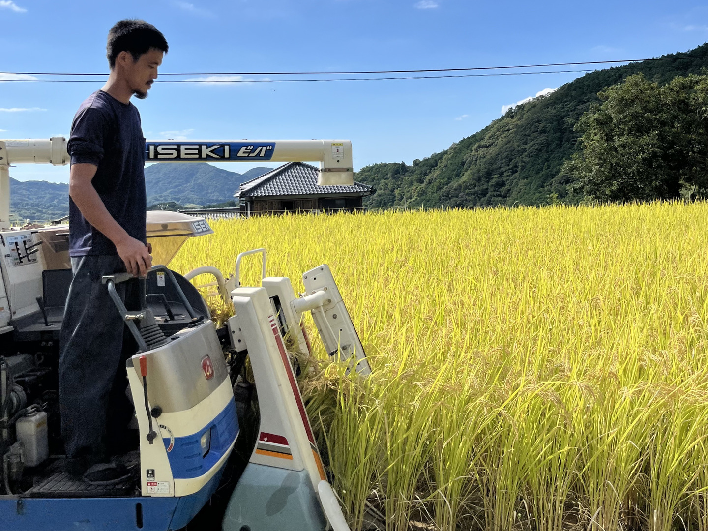 R7年産新米予約】生活排水なしの一番水 自然栽培窪野米