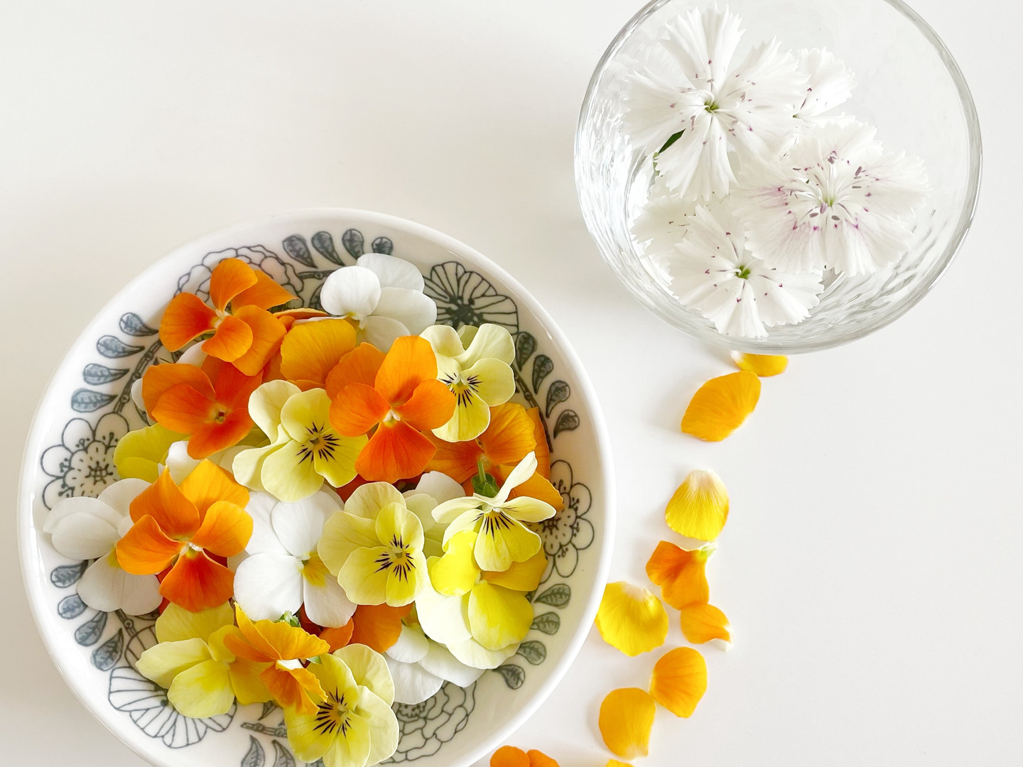 エディブルフラワーの押し花 Amazon | 押し花 エディブルフラワー ドライ 食用花 ビオラ