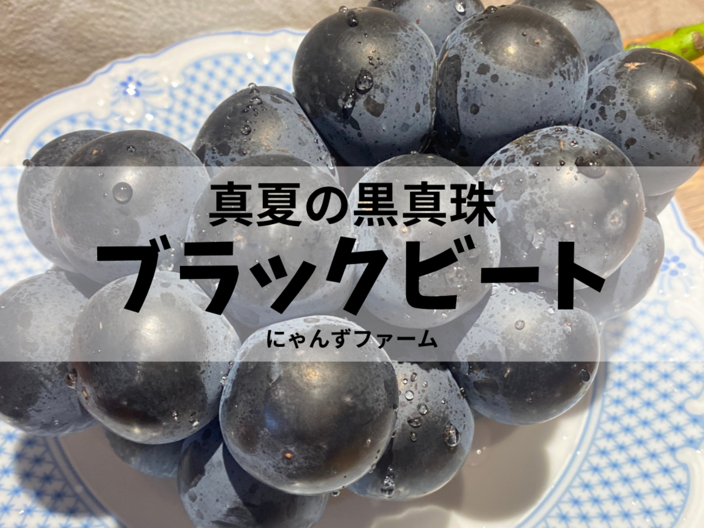 特別栽培ぶどう♡真夏の黒真珠♡ブラックビート♡山形県産ぶどう