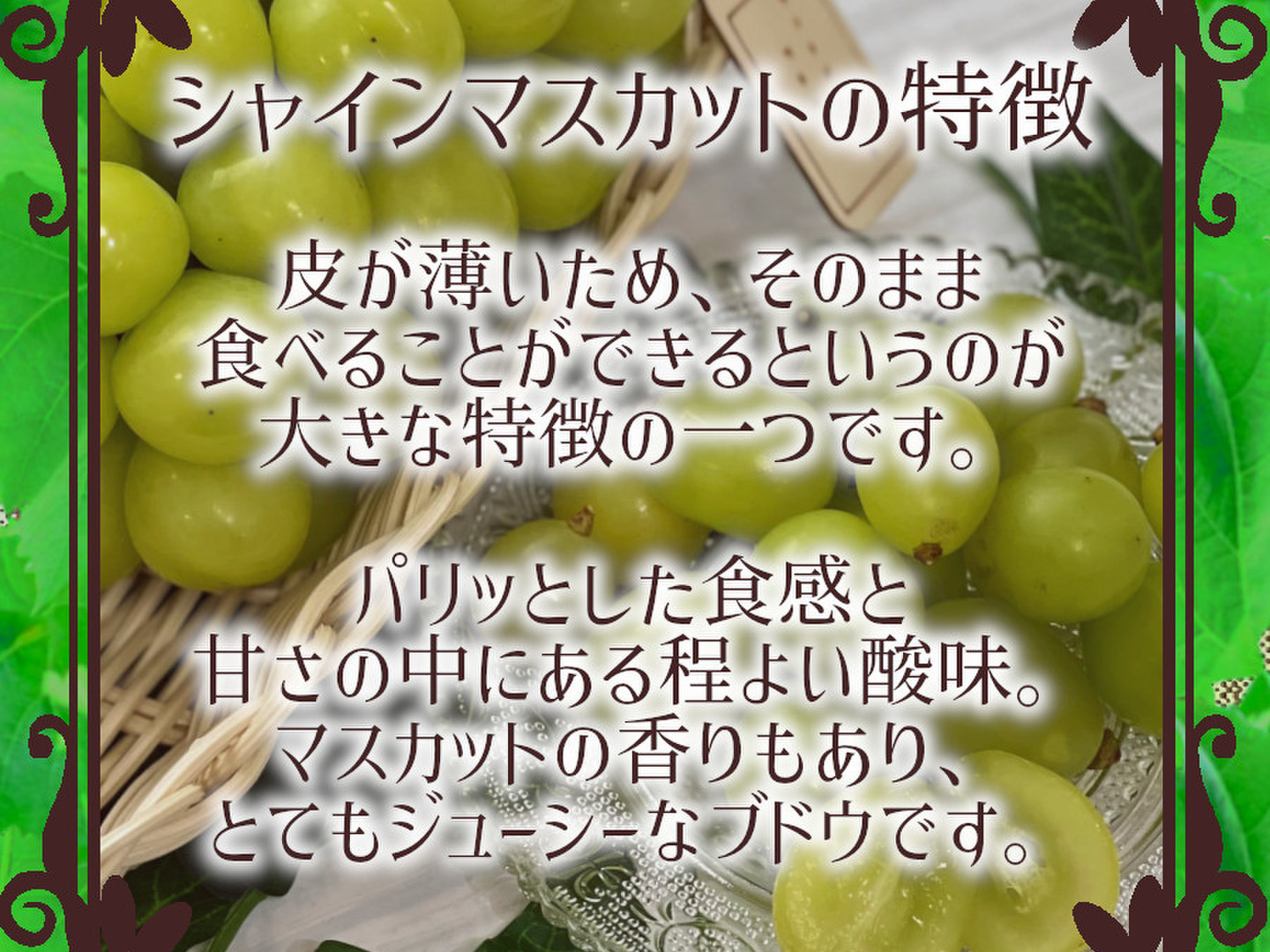 シャインマスカット＆クイーンルージュ　粒 f1efc4885f211b51e934fcb166bf17