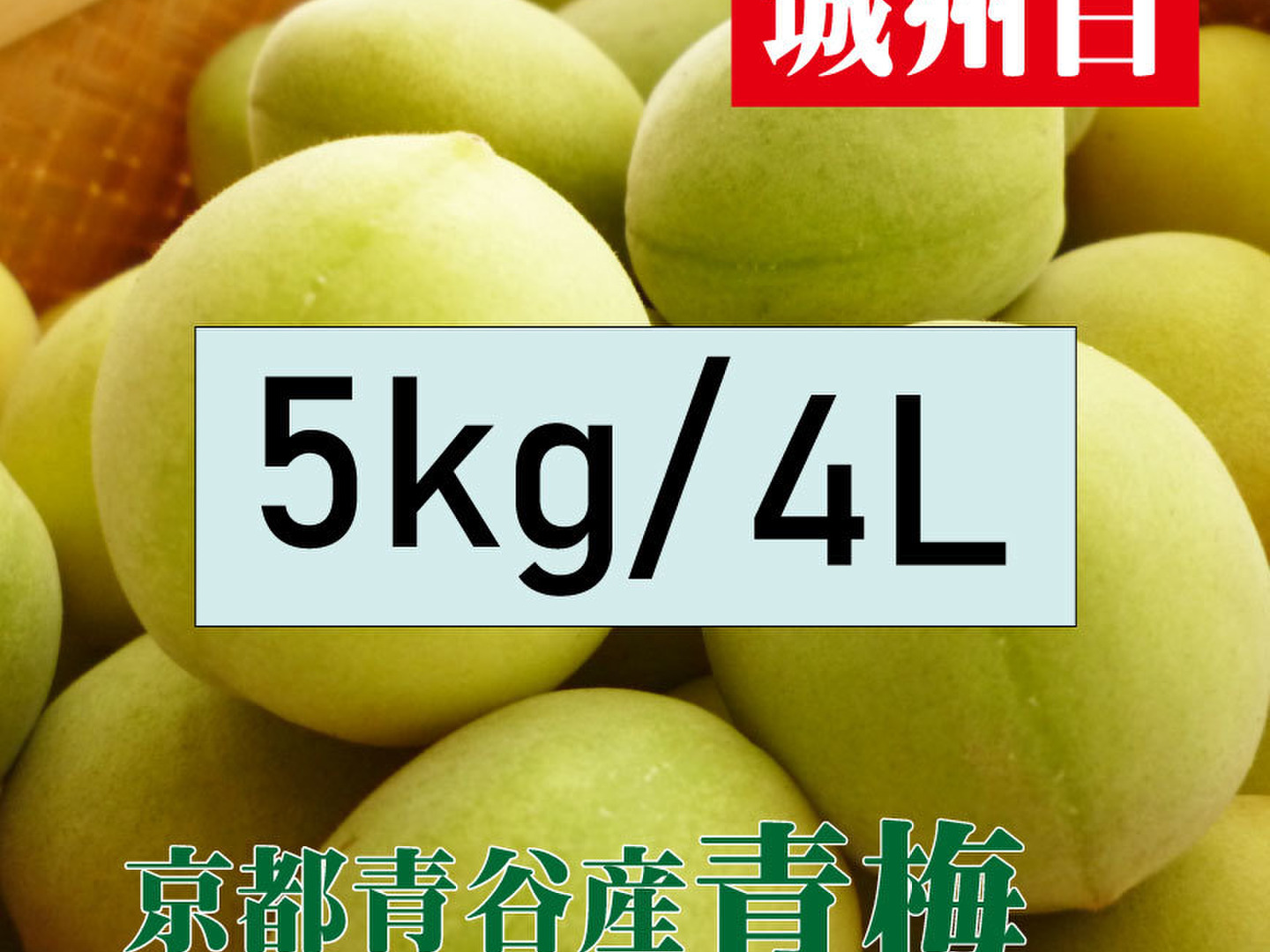 予約販売【青梅】京都青谷産「城州白」(5kg, 2L3L) 香りの良さが