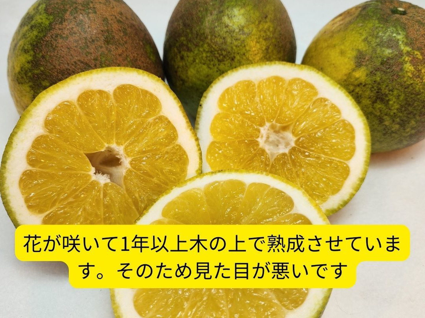 箱込約4.2㌔ 1,000箱以上売れる 家庭用河内晩柑 愛媛県産：愛媛