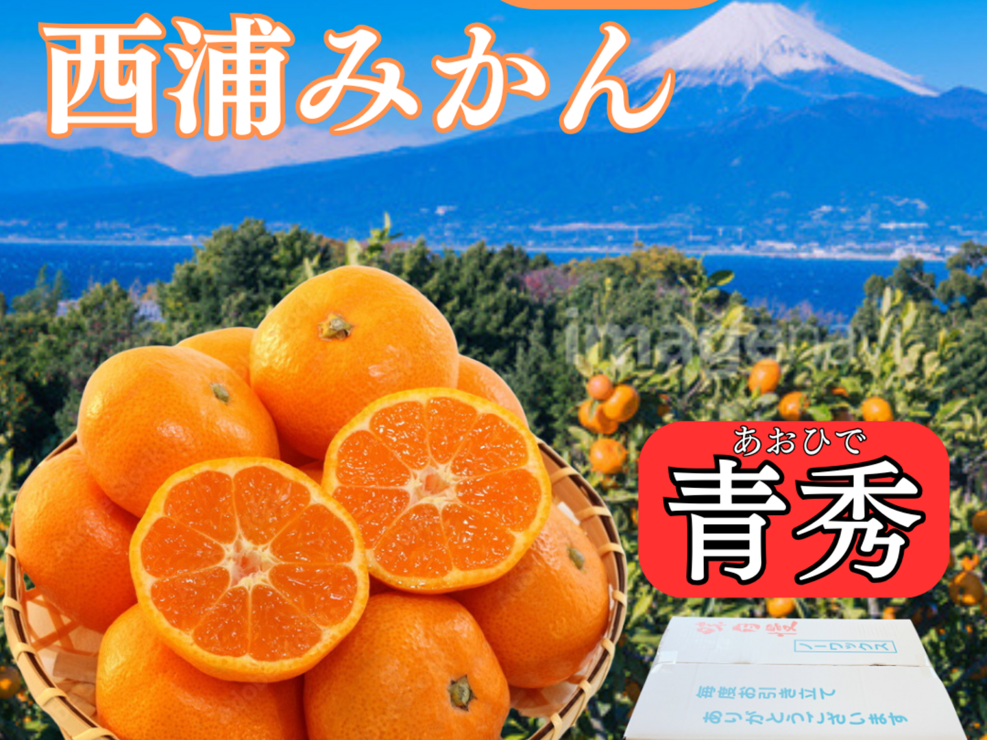 みかん様♡ありがとうございます♡ 糖度10度以上！青秀約4.5キロ箱込み 寿太郎みかん (サイズSまたはM