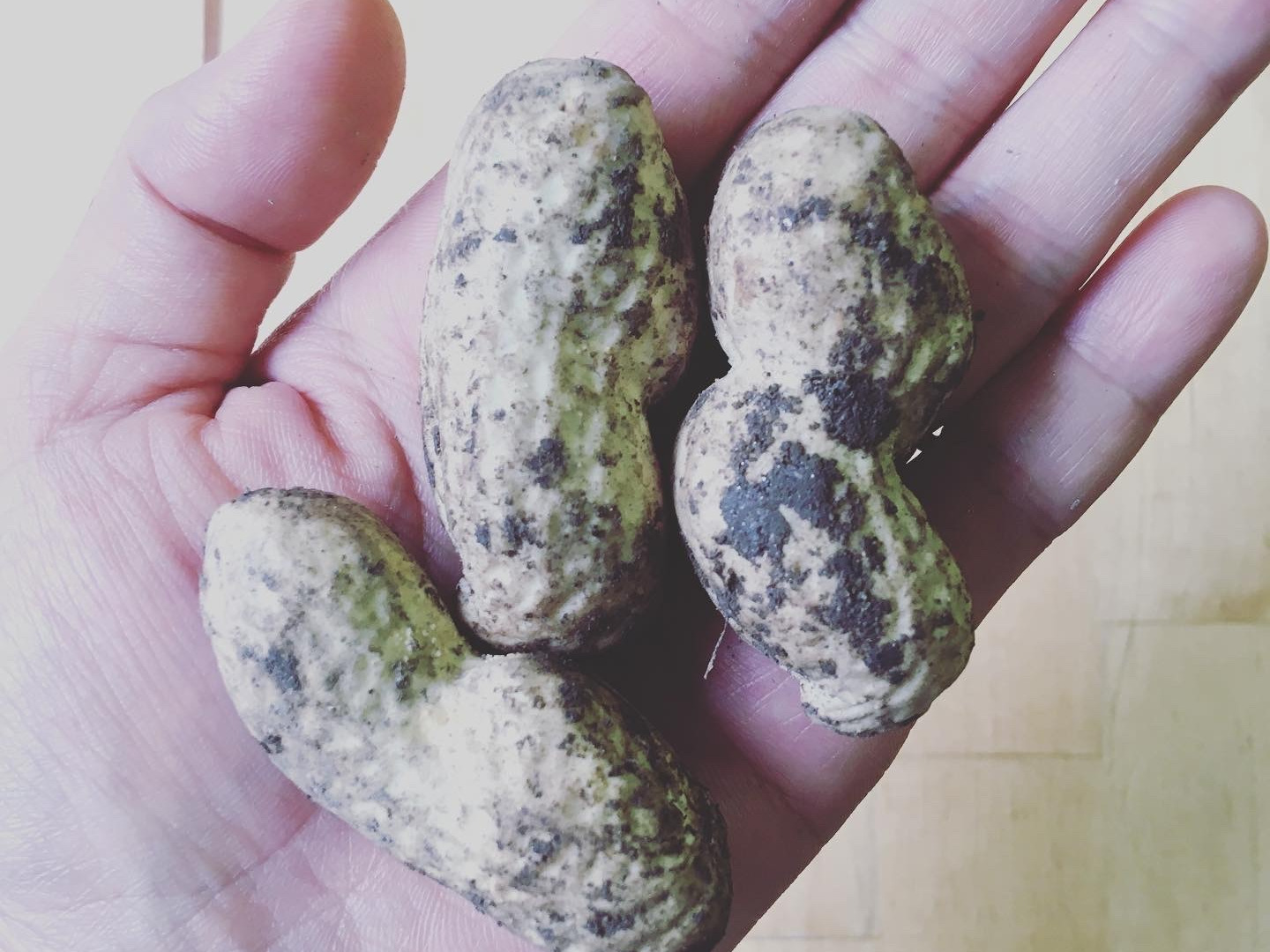 栃木県産 生落花生 むき身 3kg 1ark22e.jpg