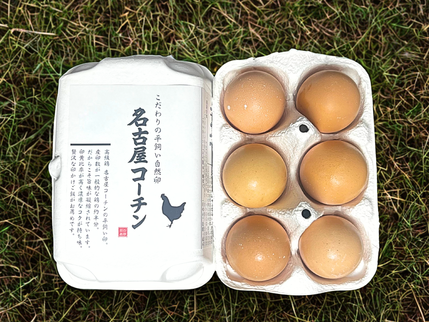 🐔平飼い卵【名古屋コーチン】（48個入り）🐔濃厚でコクがある｜ 卵