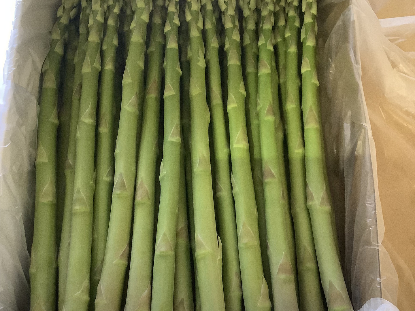 ふぁふぁふぁーむアスパラガス500g：佐賀県産のゼンユウハヨデル