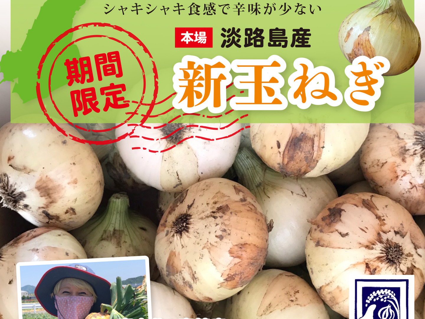 淡路島産淡路島新玉ねぎ二等品20キロスーパーアップ高糖度、減