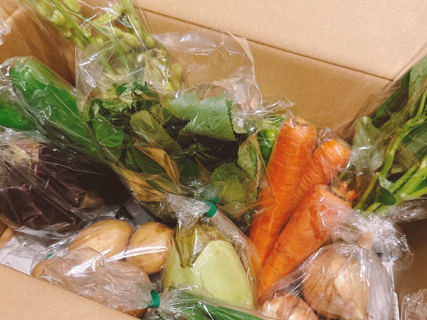 Lサイズ ＊旬野菜セット(約10~11品)【農薬：栽培期間中不使用