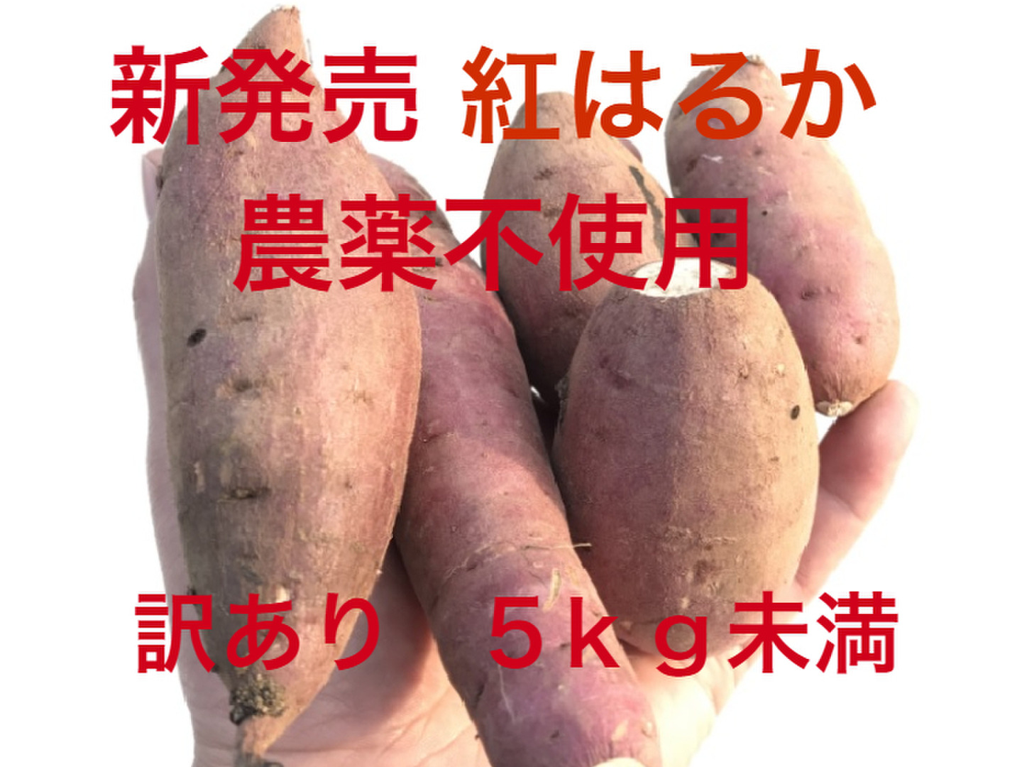お歳暮・冬ギフト特集 - おとなの週末お取り寄せ倶楽部 紅はるか さつまいも 農薬化学肥料不使用 【新 肥料のみ 有機 野菜