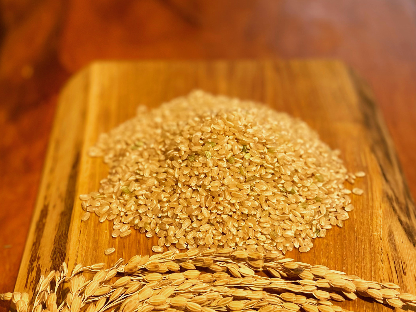 甘みを感じる🌾ごきげん栽培米🌾令和6年新米徳島県産コシヒカリ