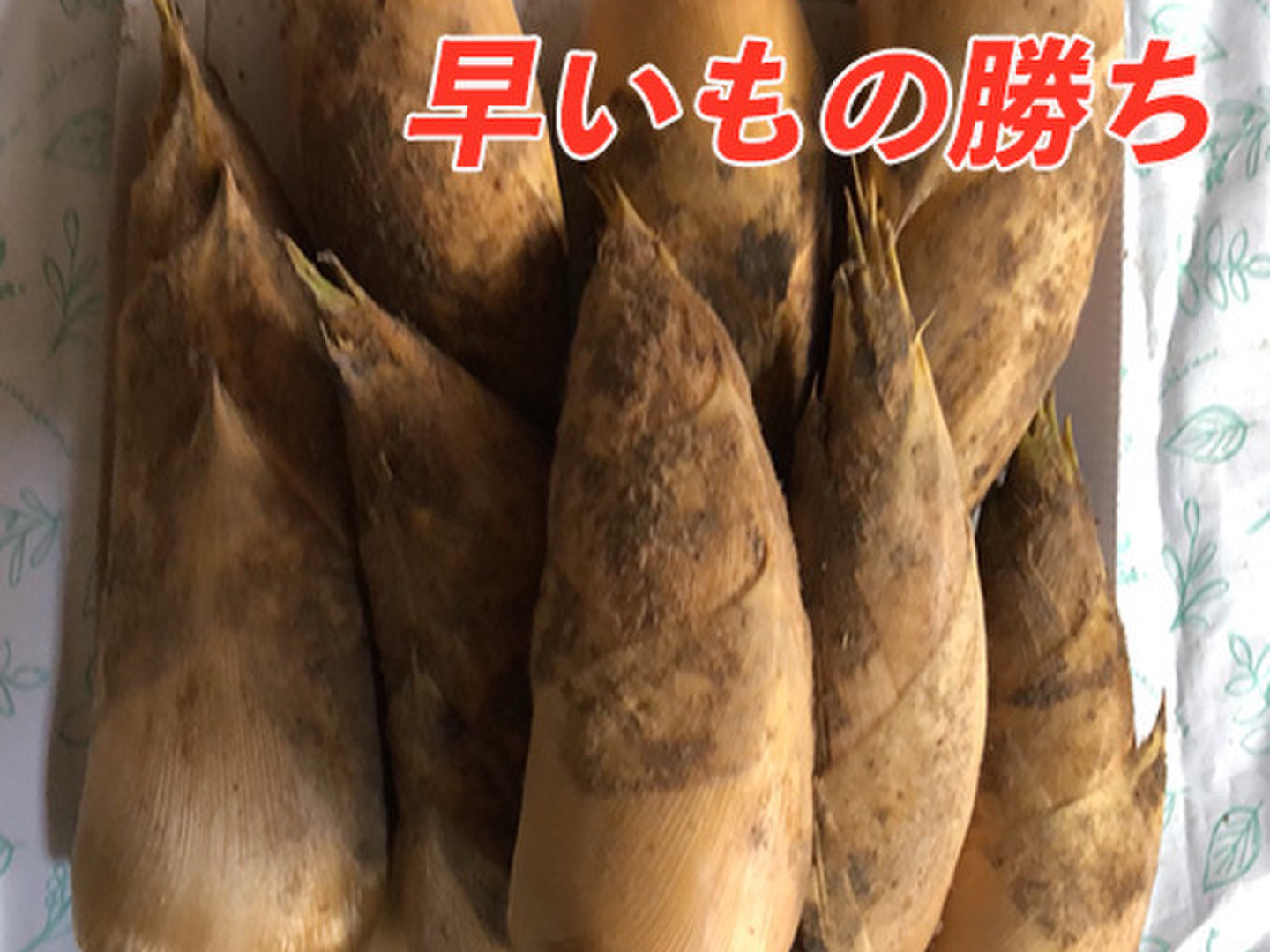 早いもの勝ち！ 本日発送！ 和歌山 知る人ぞ知る人気の山東産