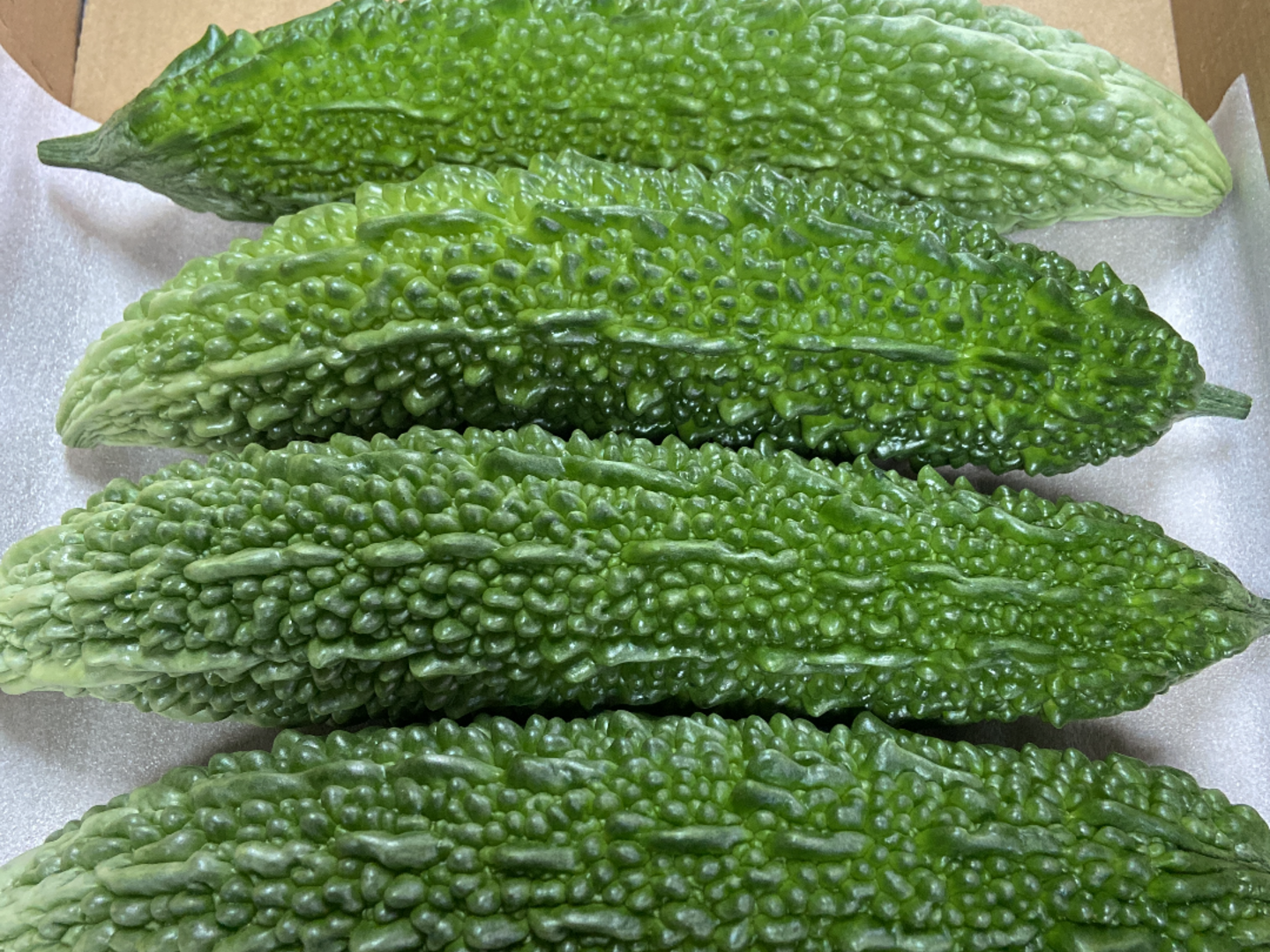 産土五農場4本 自然栽培の野菜を宅配する倶楽部大地
