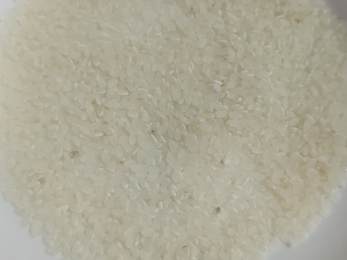 令和6年産新米】埼玉県産コシヒカリ 10kg 精米 農家直送：埼玉県