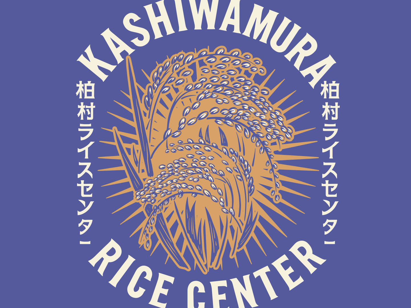大定番!!【令和6年度 新米】茨城県産コシヒカリ精米15kg 大定番!!【令和6年度 新米】茨城県産コシヒカリ精米15kg