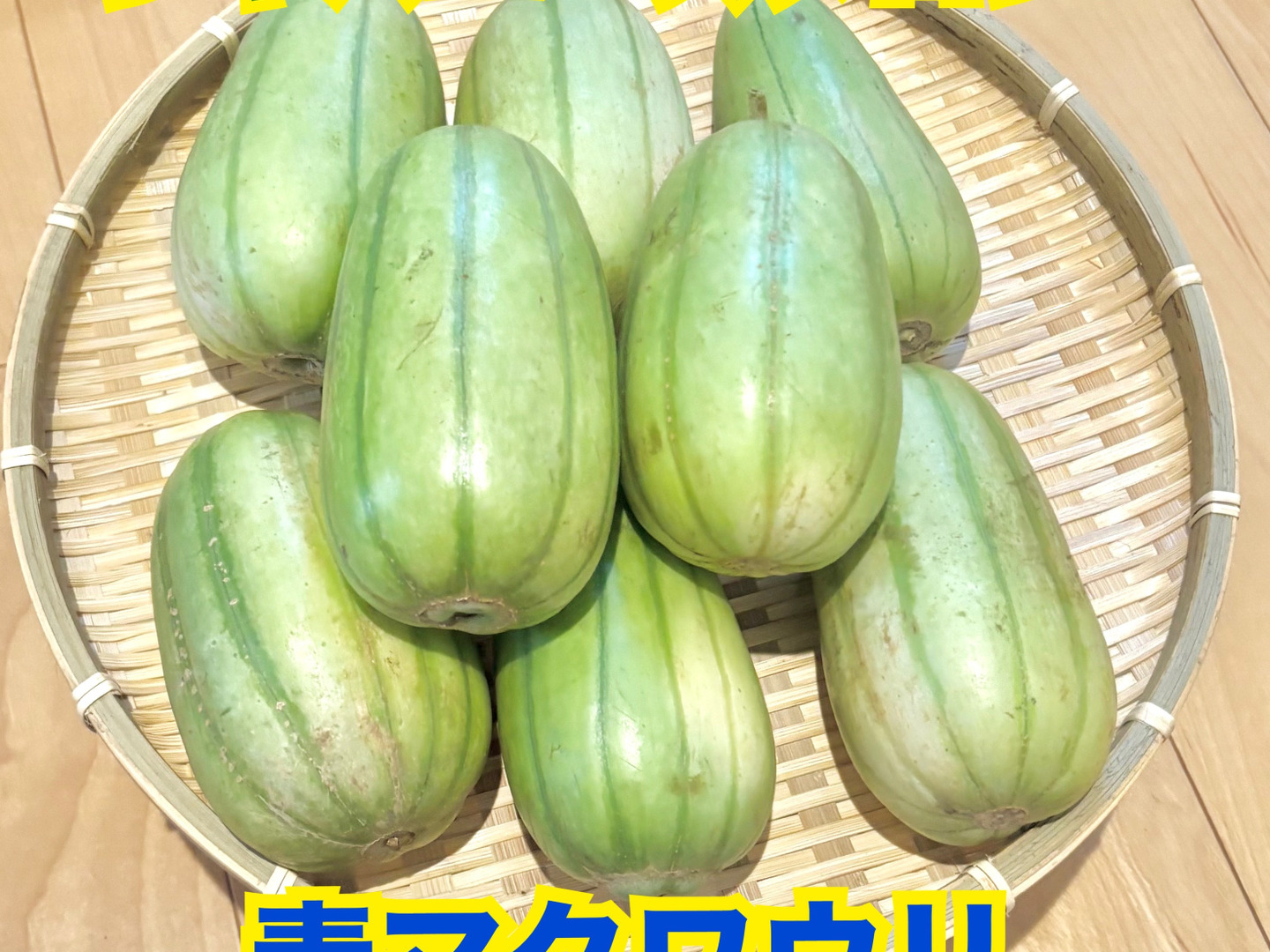 広島県農家直送】若採り青マクワウリ 栽培期間中農薬不使用：広島県産