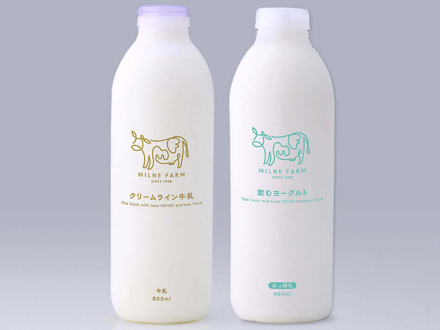 川島牧場 森永 牛乳瓶3本セット 市乳 654b1f4a72c84f4a4121d4bedda982