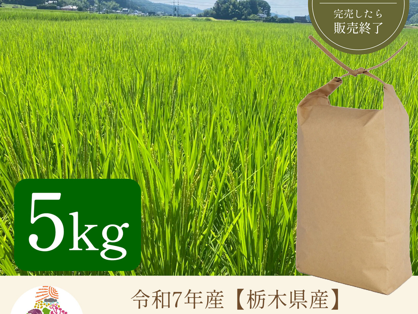売り切り！！値下げ！令和2年産 とちぎの星 ブランド米 天皇献上米 30kg sunrice_totiginohoshi-30kg