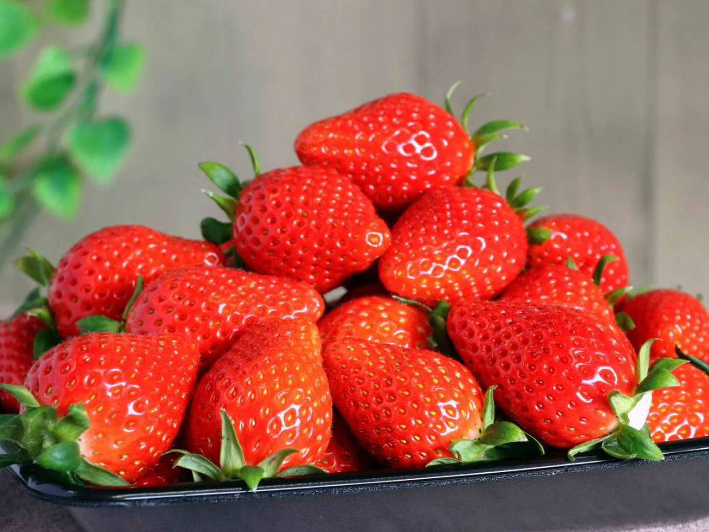 驚きの価格が実現！ いちご食べ比べ】🍓4種類食べ比べ 🍓こだわりの栽培で味が濃 果物