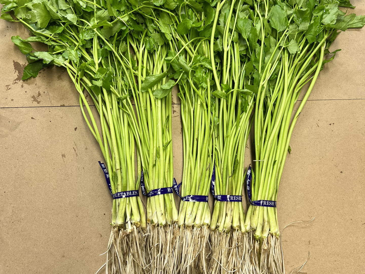 ブランドバッグ通販サイト 68027a4175bcbfdbadefb60eb0a1e7 野菜
