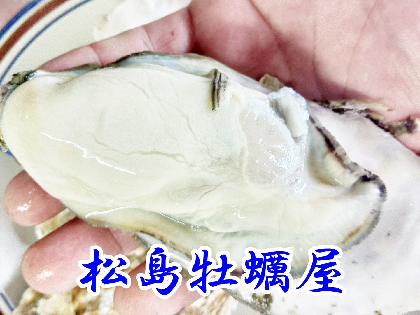 定期入れの 68f6ff33748097b29941be0b0bd104 魚介
