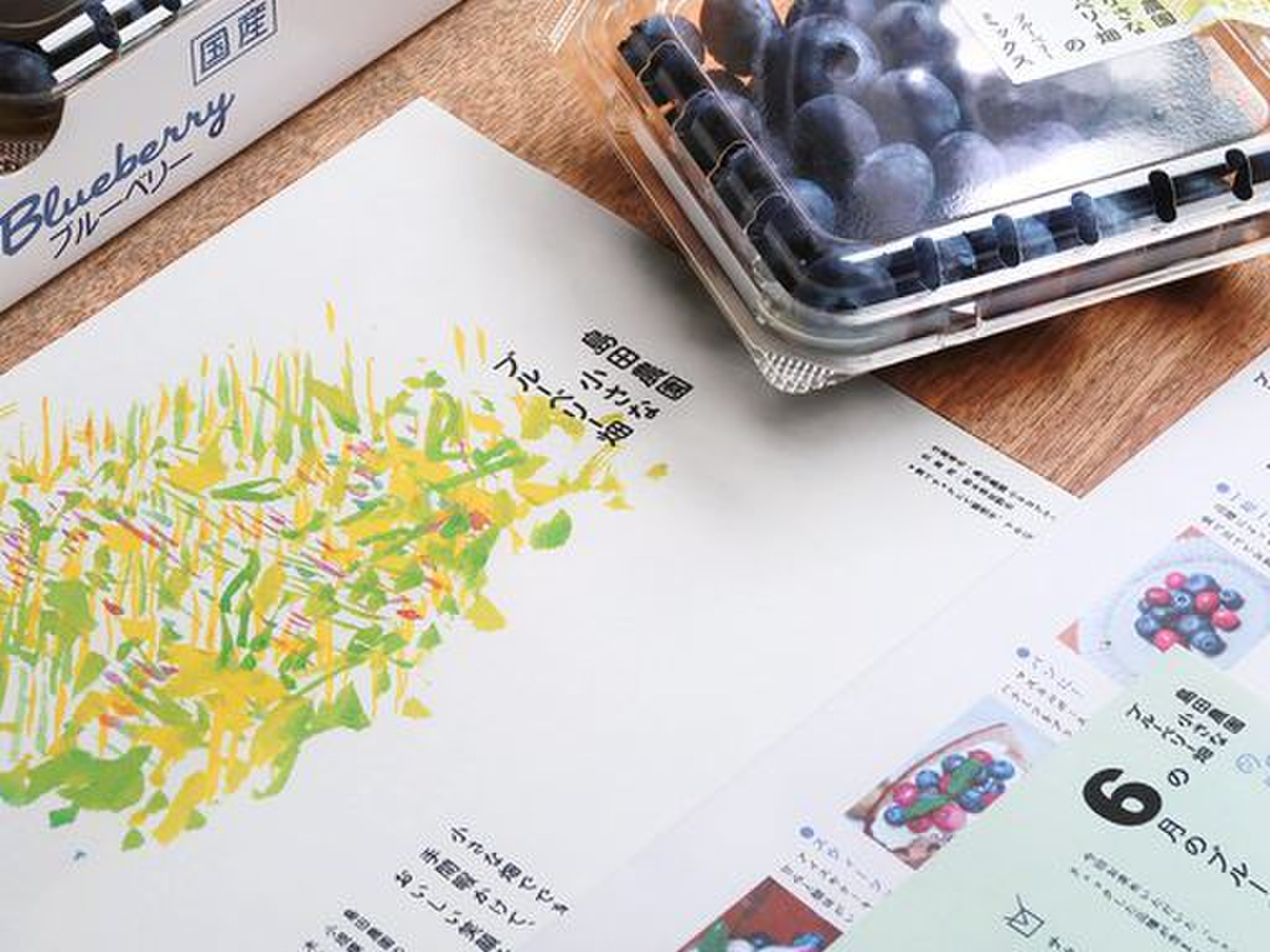 信州産★生ブルーベリー2kg【クール便発送】【朝採り】【農薬不使用】種類ミックス 信州産☆生ブルーベリー2kg【クール便発送】【朝採り】【農薬不
