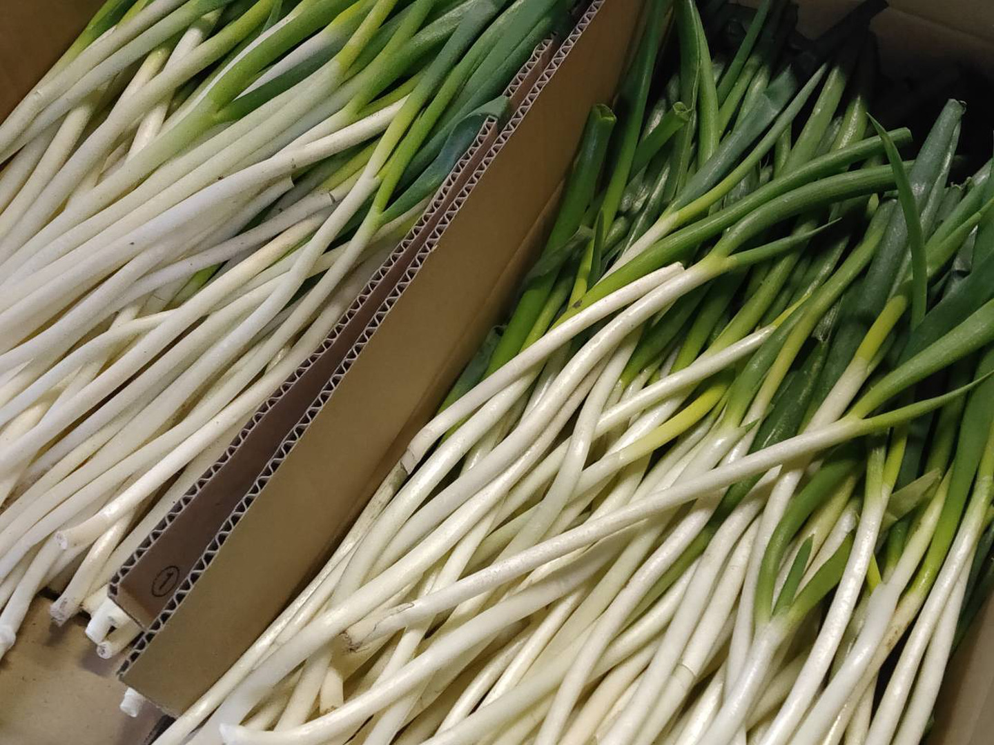 出産祝いなども豊富 6a0d56d59b0a49bc5e6941ac770847 野菜