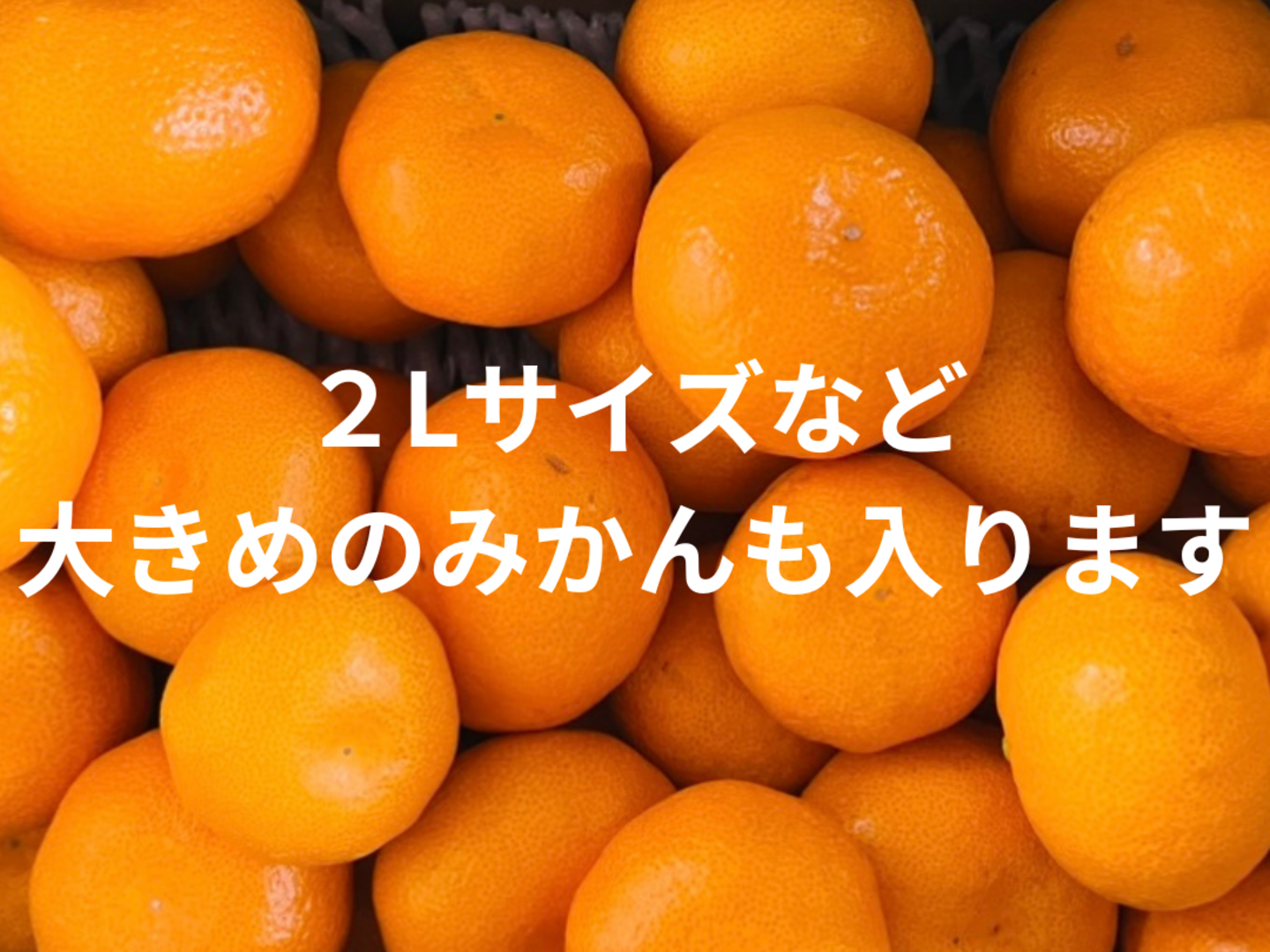 新素材新作 温州みかん 真穴産 南柑20号 箱込み3kg S～2Lサイズ サイズ混合 果物