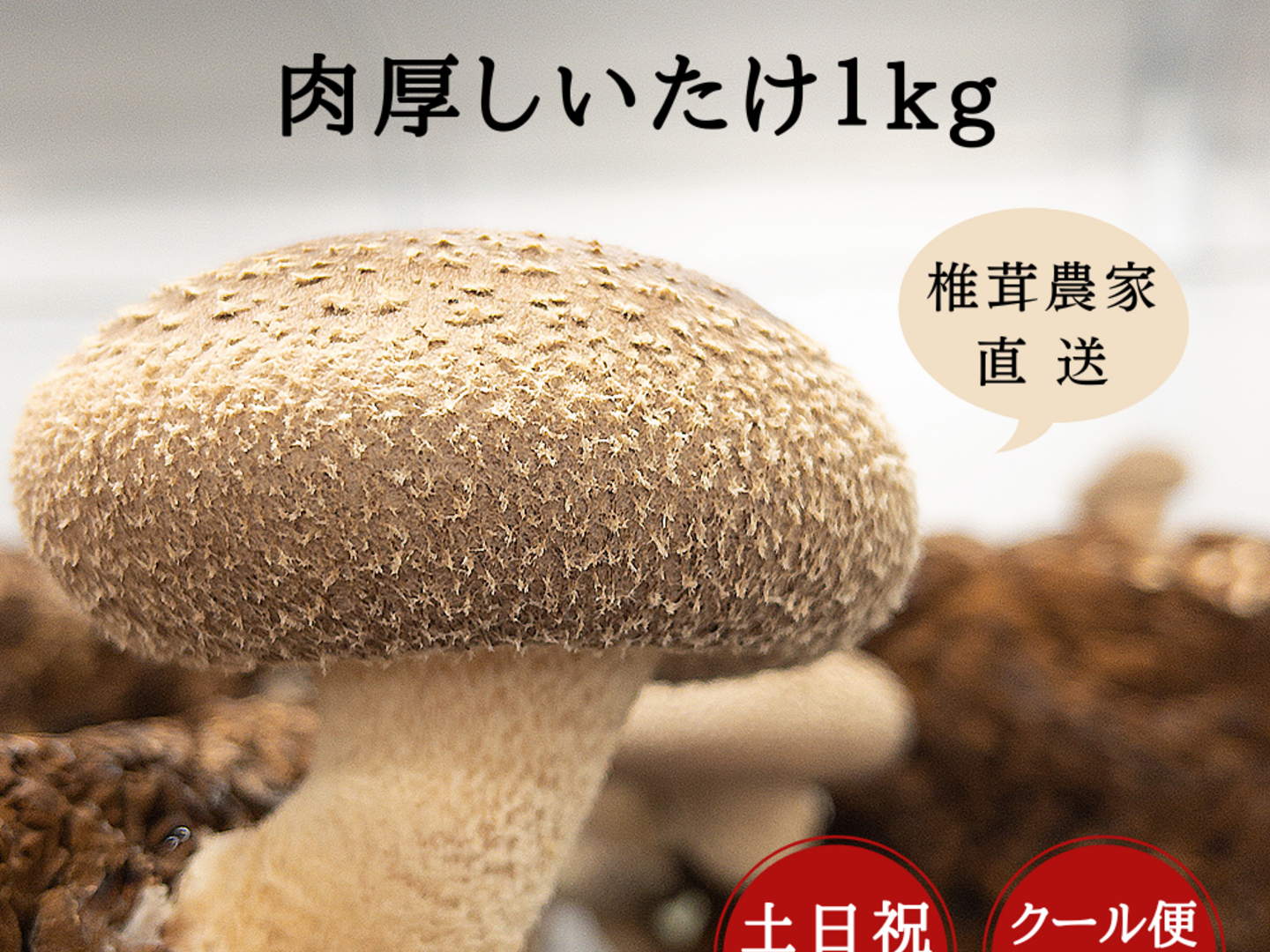 人気商品 クール便発送 料亭、旅館同等でお客様クチコミ大賞頂い 徳島県産 野菜