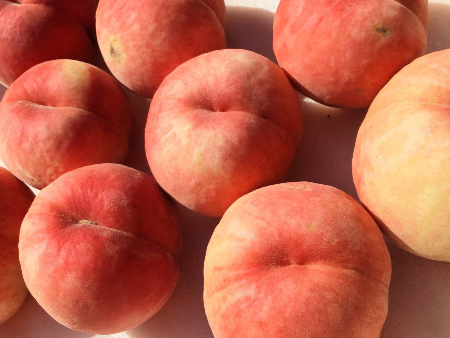 おどろき3kg【自宅用】訳あり品🍑希少種&激レア桃🍑朝採り🍑数量