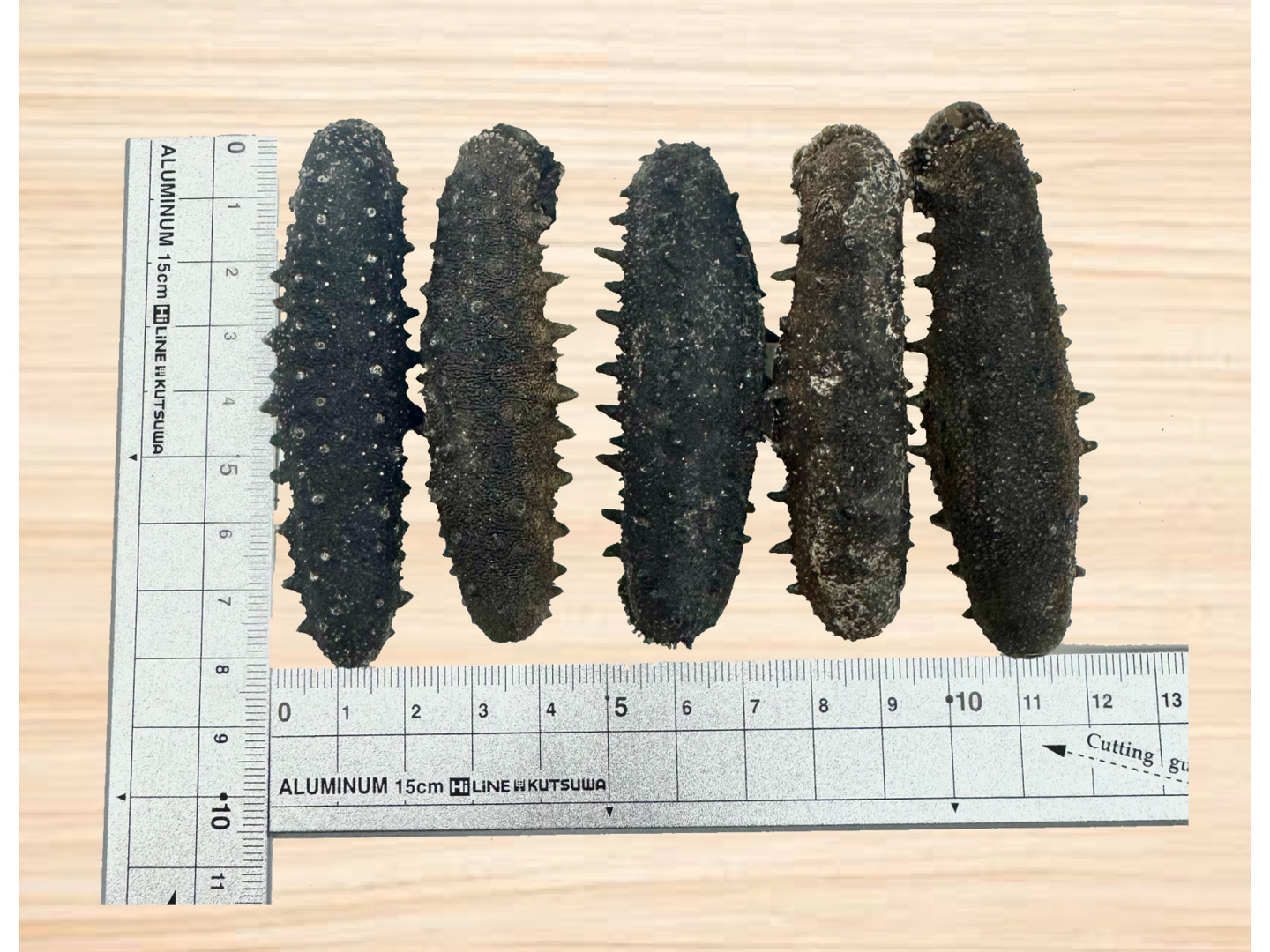 乾燥ナマコ 2L 200g：徳島県産のその他水産物｜食べチョク｜産地直送